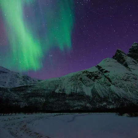 Aurora Chase Base 2 Apartment