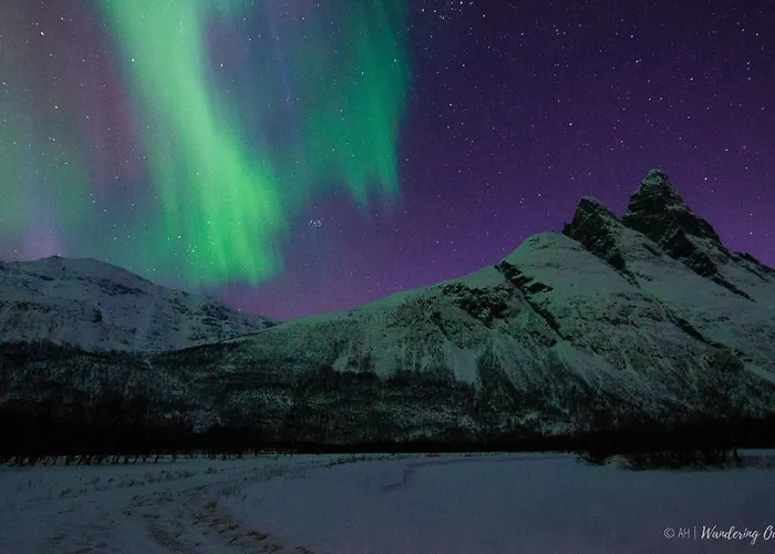 Aurora Chase Base 2 公寓